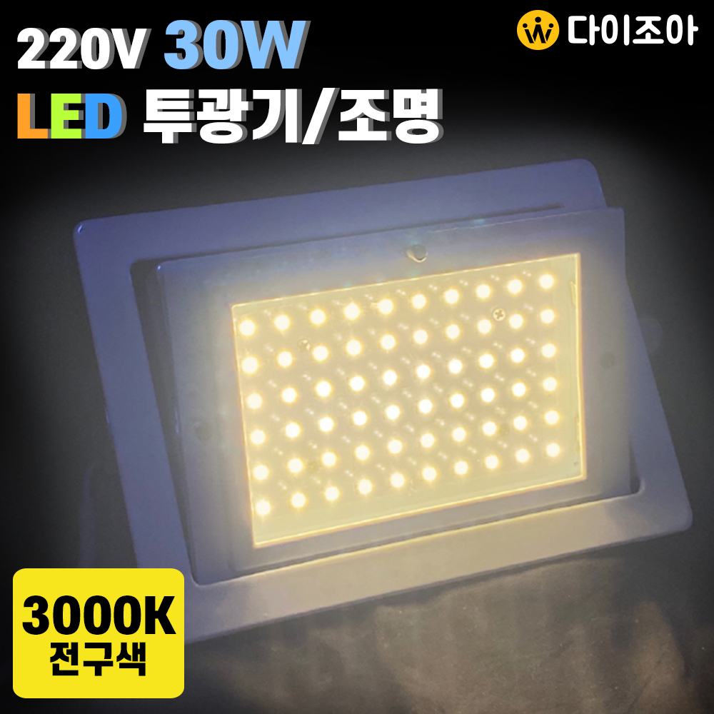 파룩스 220V 30W 3000K 매입형 친환경 백색 LED 투광기/ 투광등기구/ LED램프/ 공장등 DI-SY-LED30W